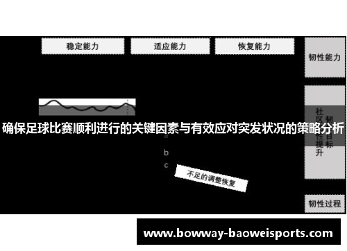 确保足球比赛顺利进行的关键因素与有效应对突发状况的策略分析