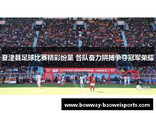 夏津县足球比赛精彩纷呈 各队奋力拼搏争夺冠军荣耀