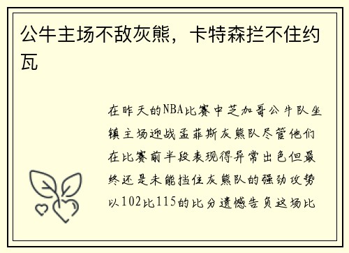 公牛主场不敌灰熊，卡特森拦不住约瓦