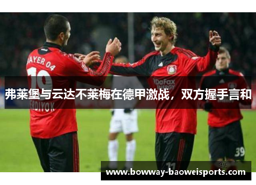弗莱堡与云达不莱梅在德甲激战，双方握手言和